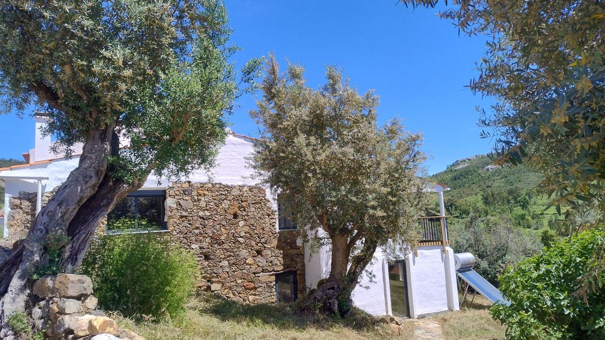 Bed and Breakfast Alegria Rustica 2 Rustic Happiness Envendos Exterior foto